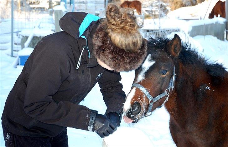 Anden særlig race Lykkebo's Athena - Min søster og Athena billede 7