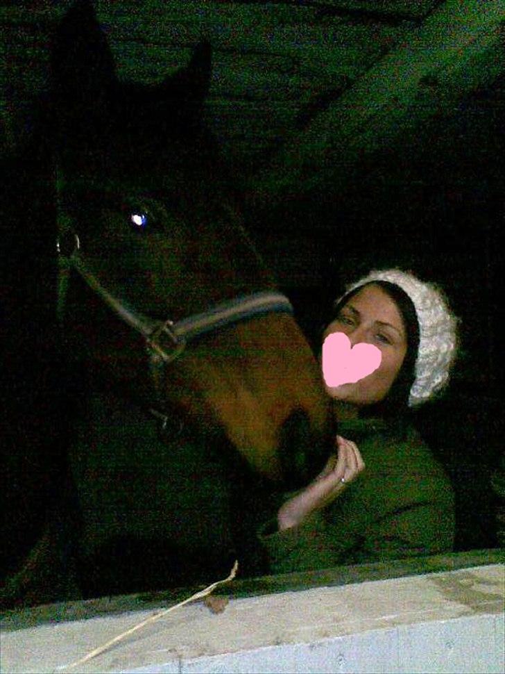 Fuldblod (XX) ZadEyz/Kashmir - Mig og Kasse.. Jeg kan sagtens gå rundt omkring ham uden problemer, han render bare efter mig..  billede 3