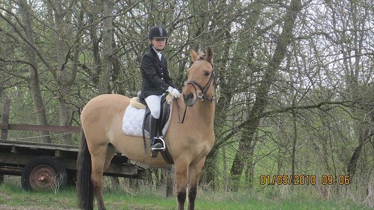 Anden særlig race Titan "Tidligere part" - uh.. billede 14