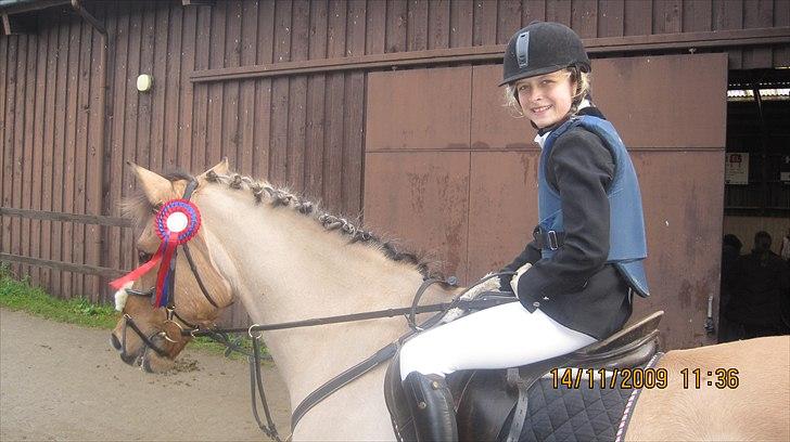 Anden særlig race Titan "Tidligere part" - efter spring stævne:D billede 15