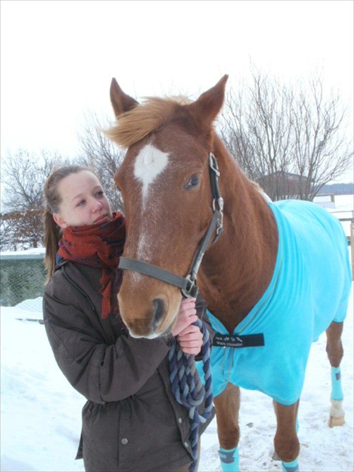 Anden særlig race Picasso - Vinteren 2010 billede 11