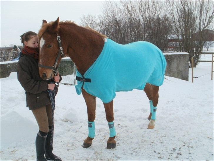 Anden særlig race Picasso - Vinteren 2010 billede 12