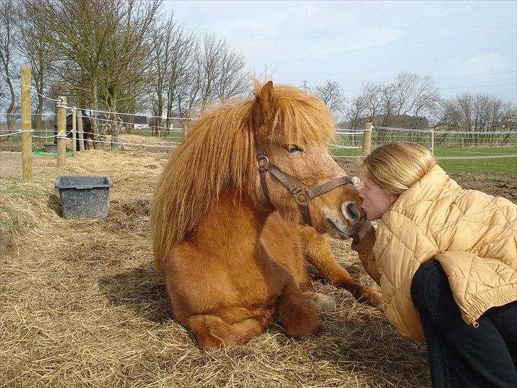 Anden særlig race Frida billede 10