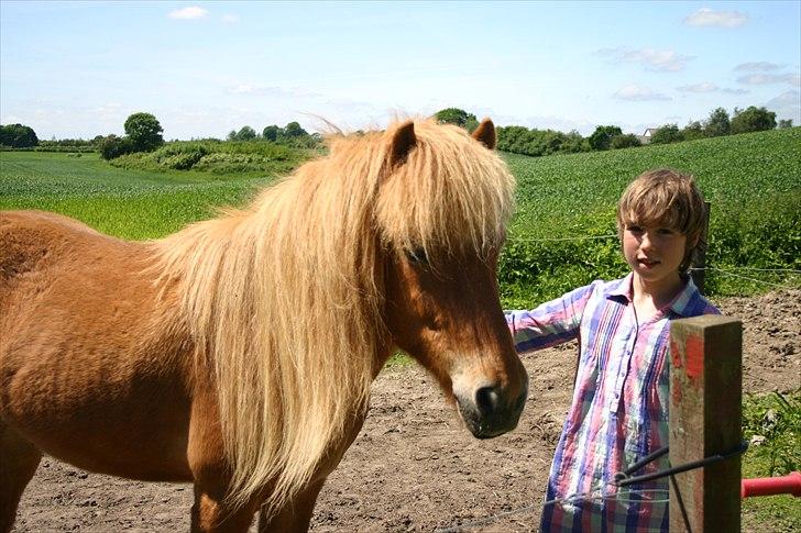 Islænder Raud Stjerni - Mig og Stjarni!:D billede 3