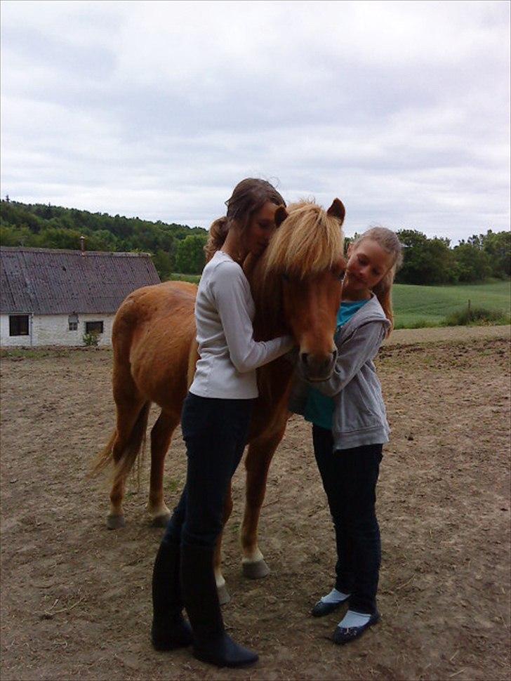 Islænder Raud Stjerni - Min søster og hendes veninde der krammer Smukke basen!;D billede 4