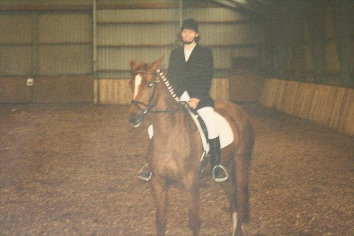 Dansk Varmblod skovvejens Isabella R.I.P - Min mor og Isabella til deres første og sidste stævne hvor de vandt en første plads i en LC1 billede 4