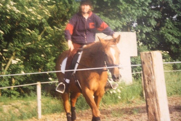 Dansk Varmblod skovvejens Isabella R.I.P - Min mor der ridder Isabella der hjemme hos Inge billedet er taget af min mormor som ikke helt kunne finde ud af hvornår hun skulle taget billedet og det resulterede i mange af denne slags ;) billede 16