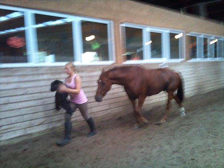 Anden særlig race Branco.  billede 4