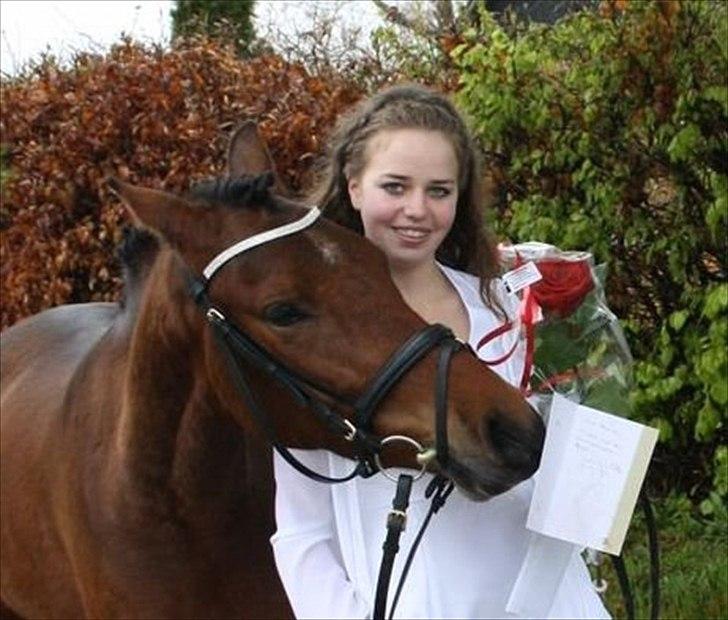 Anden særlig race Vordegaards Matti - fra konfi :) billede 12