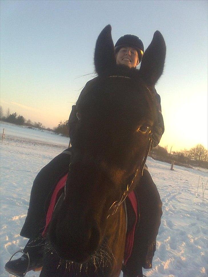 Anden særlig race Uzuri - 2gang på nakken af hende den 25dec2010 billede 17