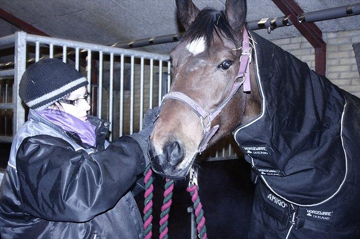 Oldenborg Safian`s Conjali billede 2