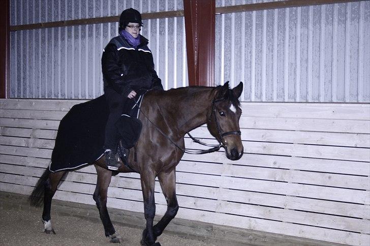 Oldenborg Safian`s Conjali billede 5