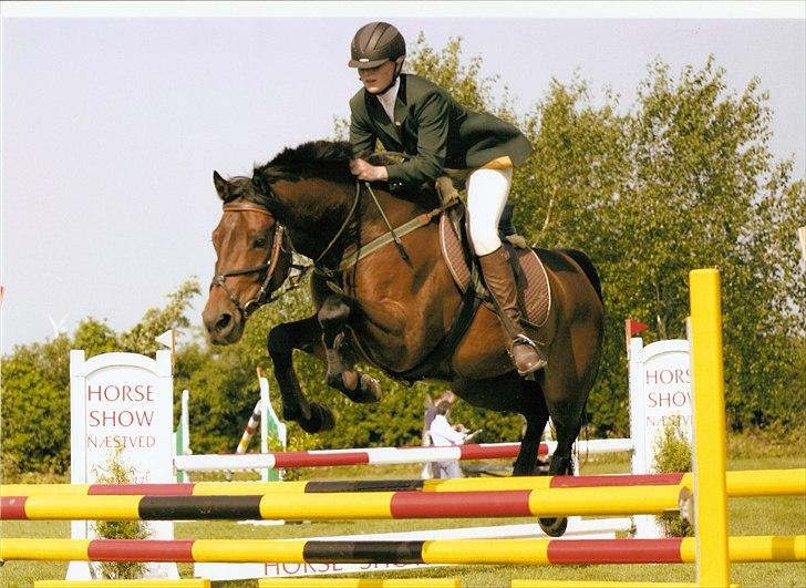 Dansk Varmblod BABY <3 - Horse Show 2007. Vandt begge vores klasser. billede 19