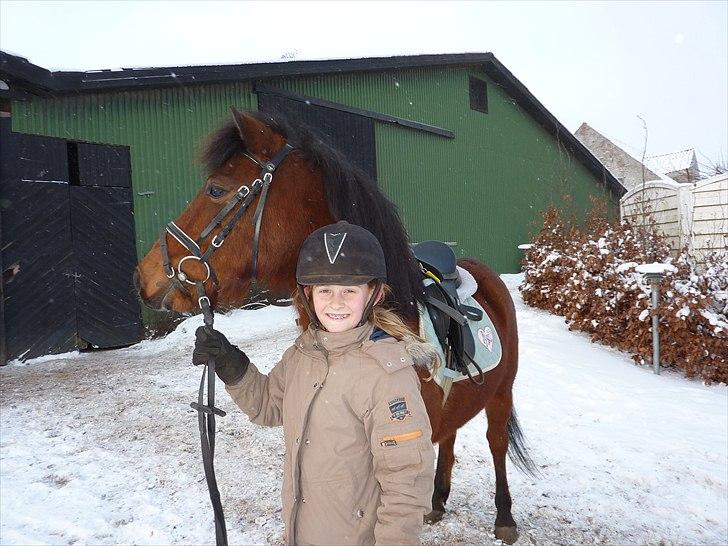 Anden særlig race Thanehøjs Mads billede 19