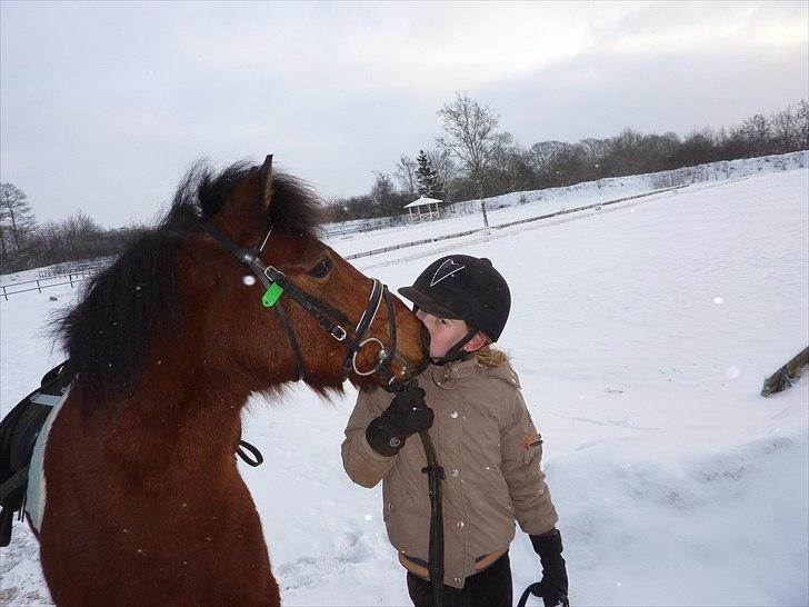 Anden særlig race Thanehøjs Mads billede 20