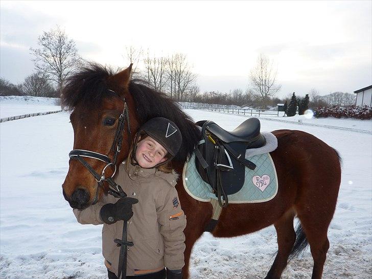 Anden særlig race Thanehøjs Mads billede 21