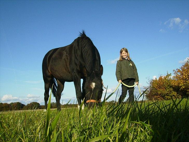 Anden særlig race Sillemoes Luci - Arrrh friskt græs
Fotograf (Far) billede 17