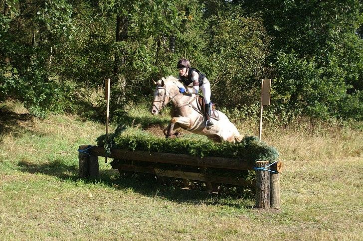 Appaloosa Simly Red - terræn springningen til landsstævnet i military cncp90 :-) billede 12