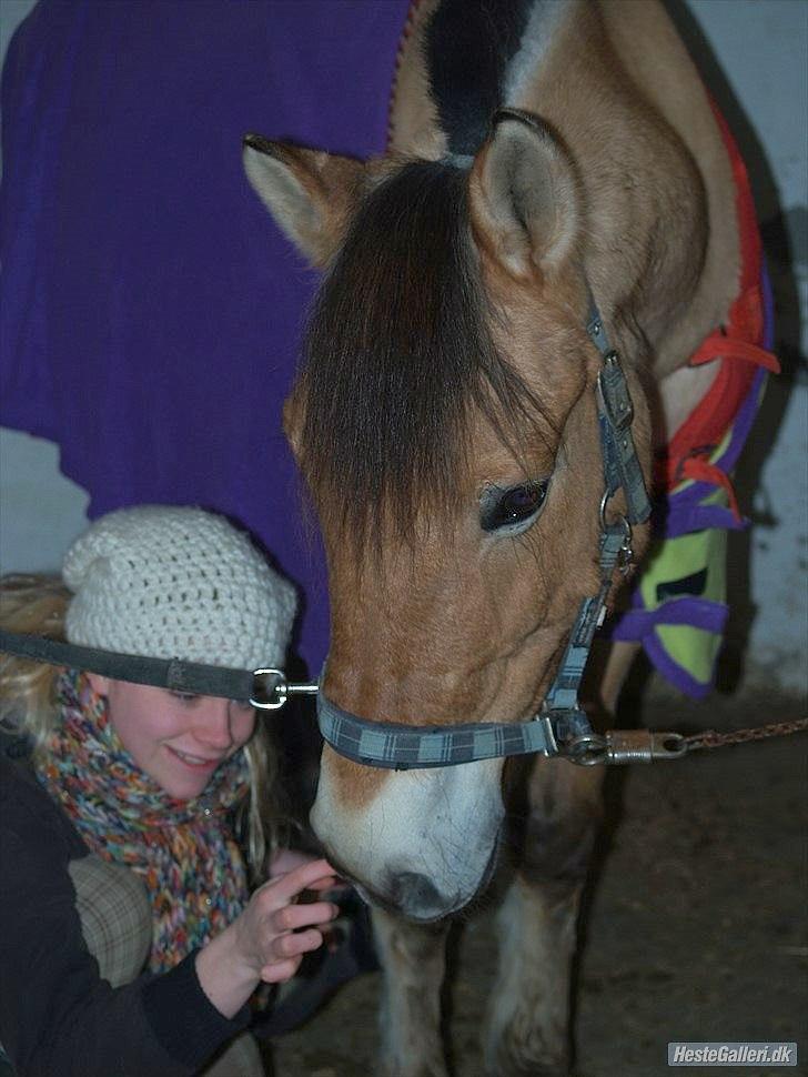 Anden særlig race HEDELYS VICTOR - Mig og Buldermand:)<3 Er helt vild med det billede! Foto: Caroline billede 3