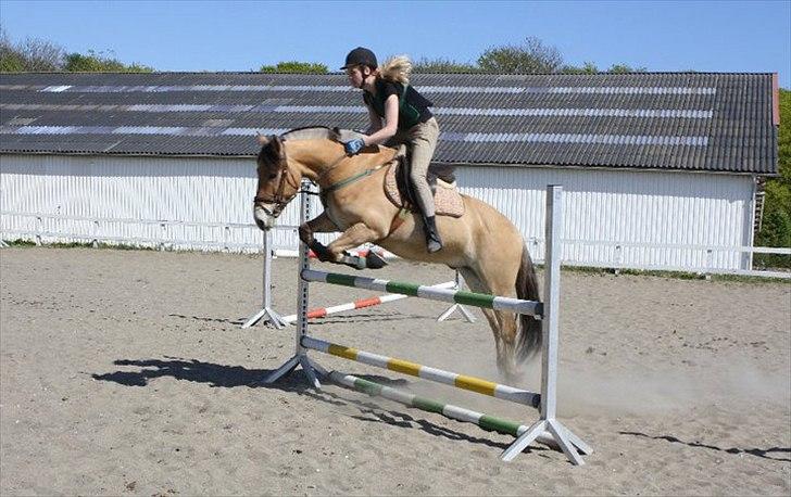 Anden særlig race HEDELYS VICTOR - Buldermand og mig:) Foto: Nadia billede 6