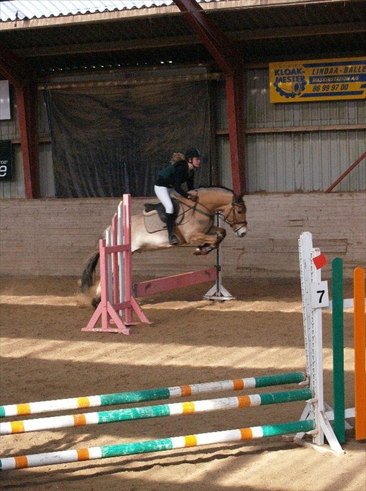 Anden særlig race HEDELYS VICTOR - Stævne:) Foto: Michelle billede 7