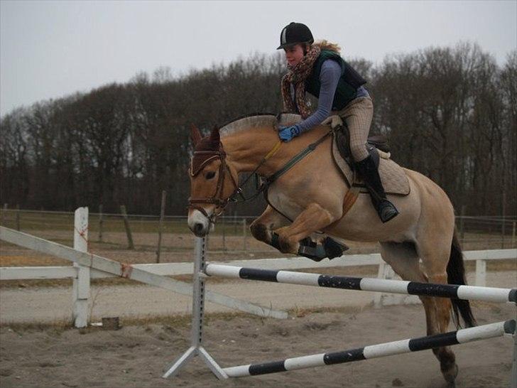 Anden særlig race HEDELYS VICTOR - Victor og mig<3 Foto: Caroline billede 8