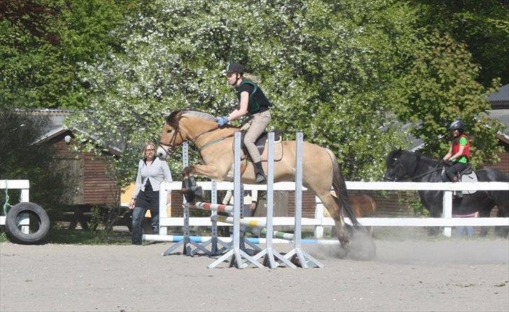 Anden særlig race HEDELYS VICTOR - Buldermand og mig<3 Foto: Nadia billede 10