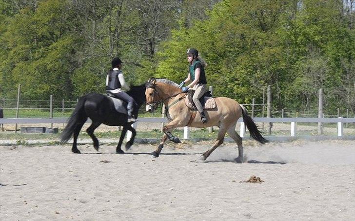 Anden særlig race HEDELYS VICTOR - Victor og mig:) Foto: Nadia billede 12