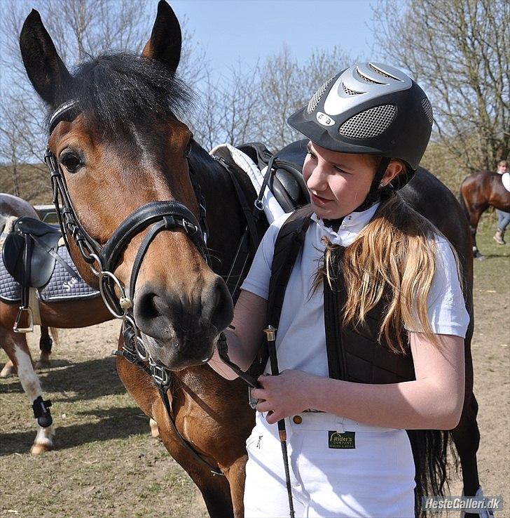Anden særlig race Victoria. - #12 smukke!*-: billede 8