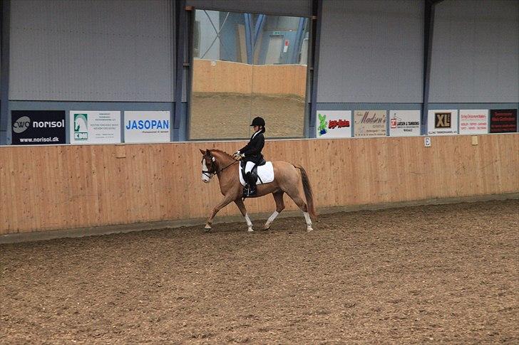 Anden særlig race Stitch billede 7