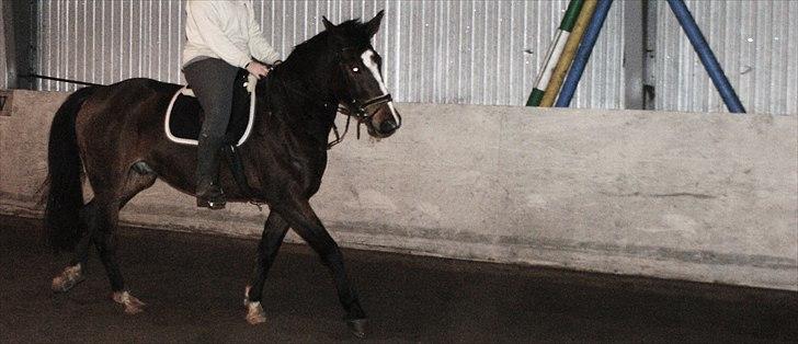 Oldenborg Castello - Castello <3 billede 13