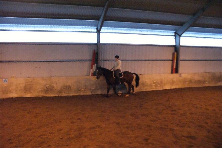 Oldenborg Castello - Dressur billede 19