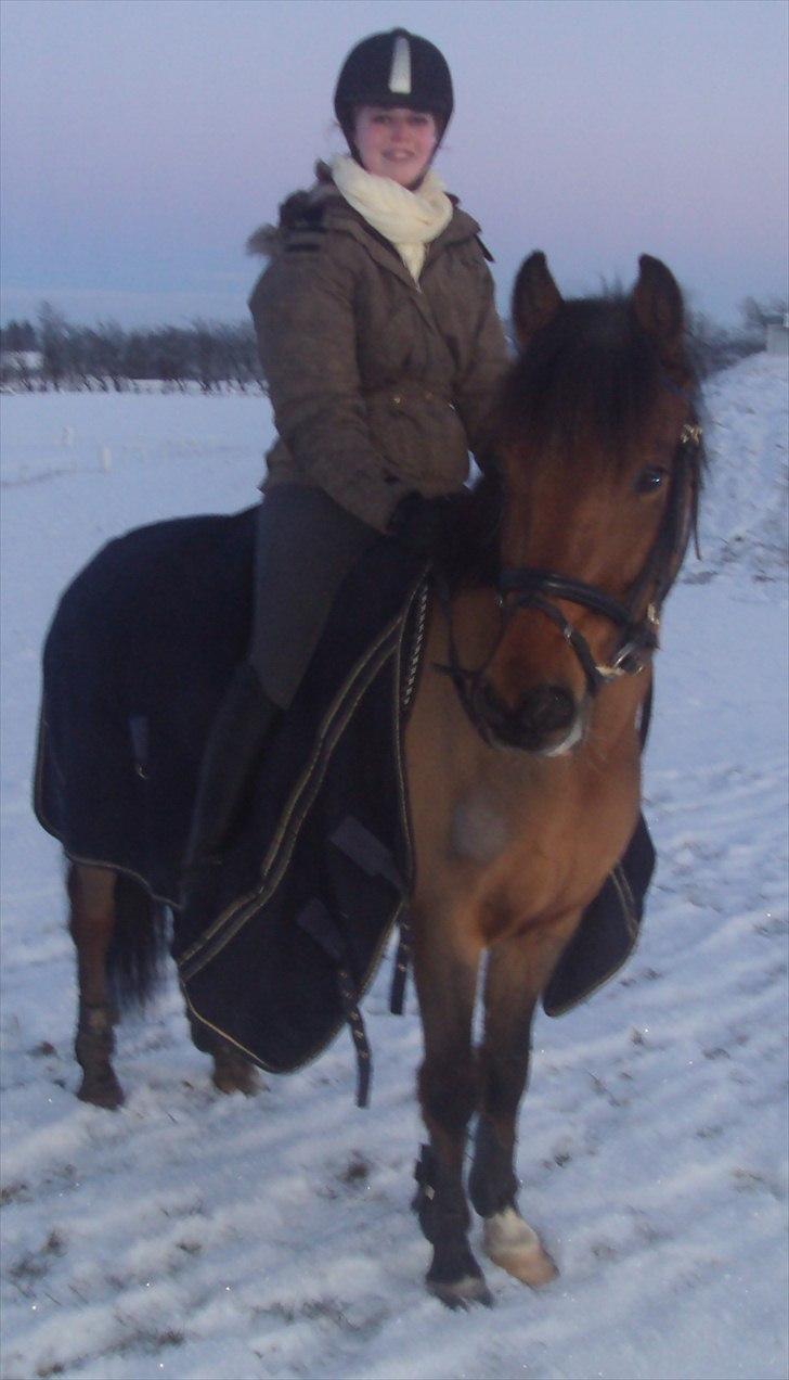 Anden særlig race Vordegaards Matti - i sneen, december 2010 billede 18