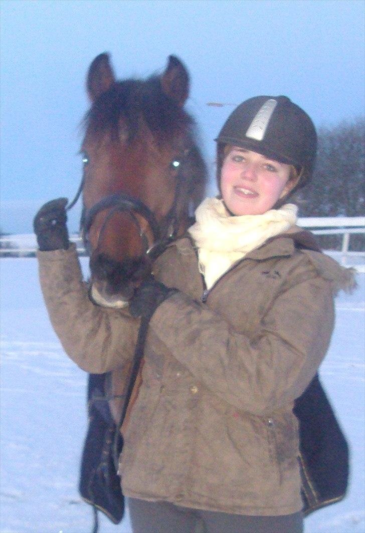 Anden særlig race Vordegaards Matti billede 19