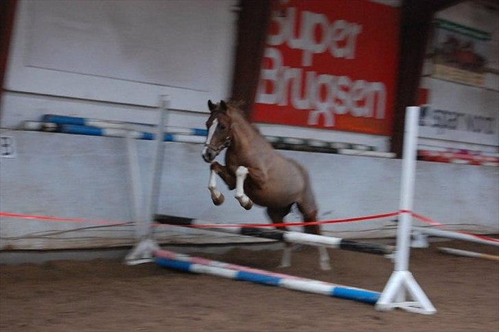 DSP Laban. - Laban til løsspring (første gang ) billede 2