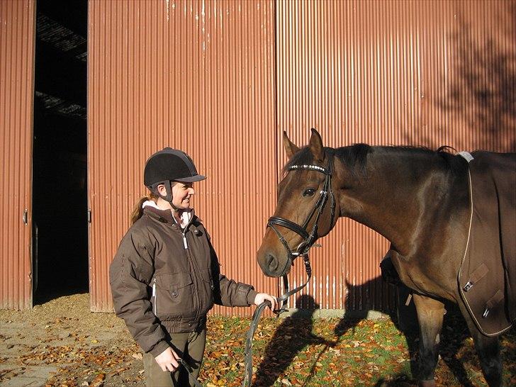 Dansk Varmblod Anja - solgt - i 2008 (: billede 7