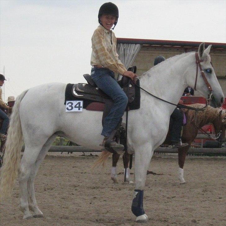 Anden særlig race Chanell (Låne hest) billede 20