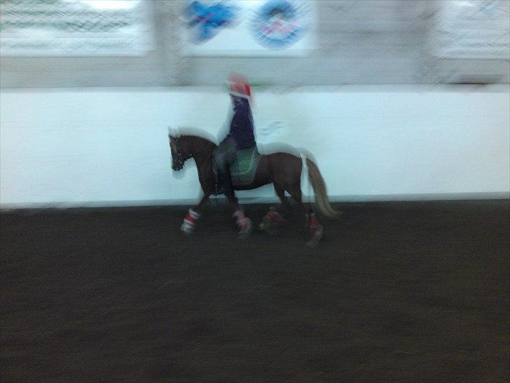 Anden særlig race Magic Mio! Altid gemt i hjertet. <3 - Da vi red med bid :) *Foto: Mor* billede 4