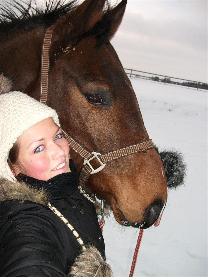 Dansk Varmblod Fiocio  - Julen 2010 Figo og jeg- savner dig basse <3 - tak for besøget billede 20