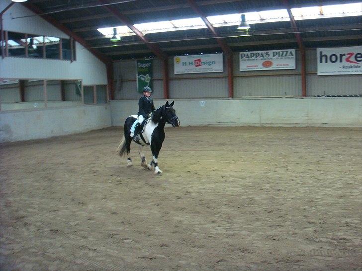 Tinker mollie billede 13