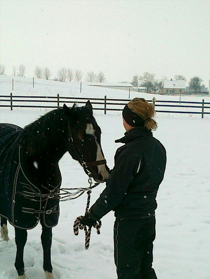 Anden særlig race Tayfun - "SAML DEN OP!" - og Tayfun samler trofast pinden op, ha ha billede 12