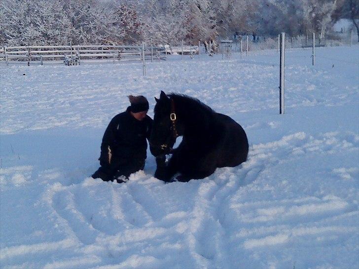 Anden særlig race Tayfun - Vinter-hygge på folden, december 2010 billede 14