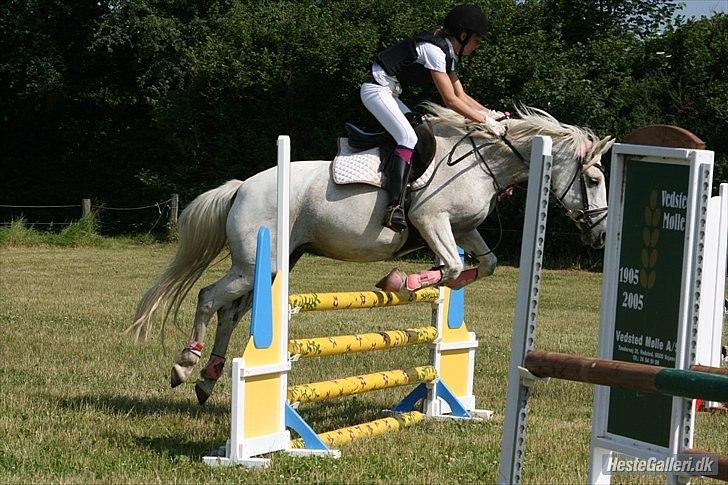 Anden særlig race Laura min prinsesse:) solgt billede 5