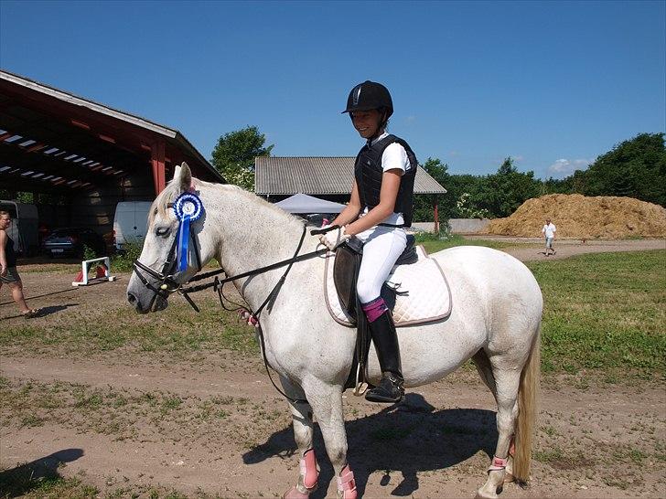 Anden særlig race Laura min prinsesse:) solgt billede 7