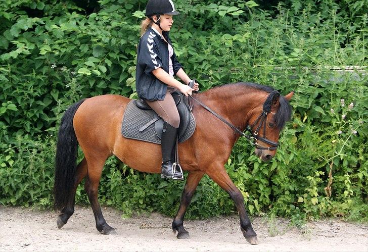 Anden særlig race Cassiopeia DEN SAVNEDE!<3 billede 9