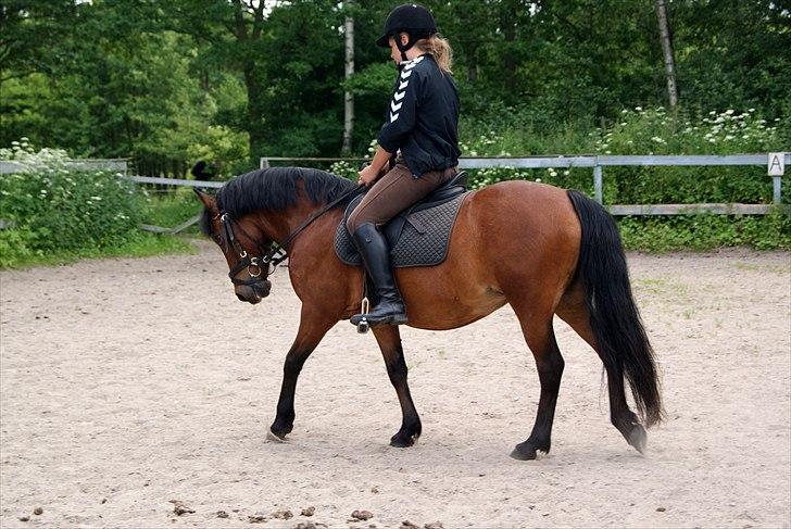 Anden særlig race Cassiopeia DEN SAVNEDE!<3 billede 14