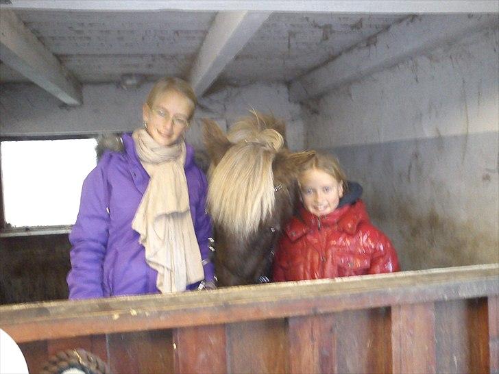 Islænder Prinsessa!<3(Solgt) - Mig og min søster og Prinsessa billede 4