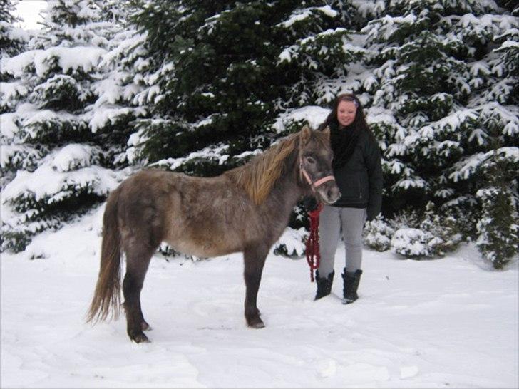 Anden særlig race Breaking Dawn * solgt :' * billede 9