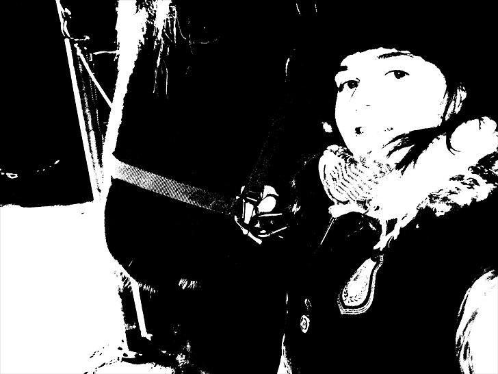 Hollandsk Varmblod Darwin - You and me 4-ever Honey<3 ...  billede 8