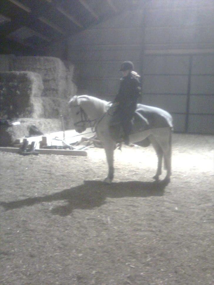 Anden særlig race Bob - Første gang ude og skridte efter jeg faldt af og brækkede armen,,, SÅ FEDT! billede 18